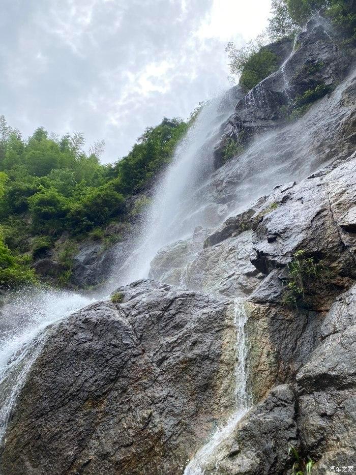 僵尸吃怪物
